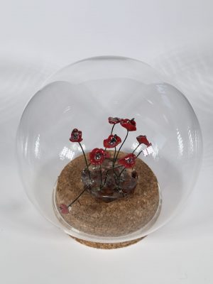 כדורי כלנית