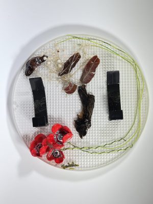 מתלה מעילים